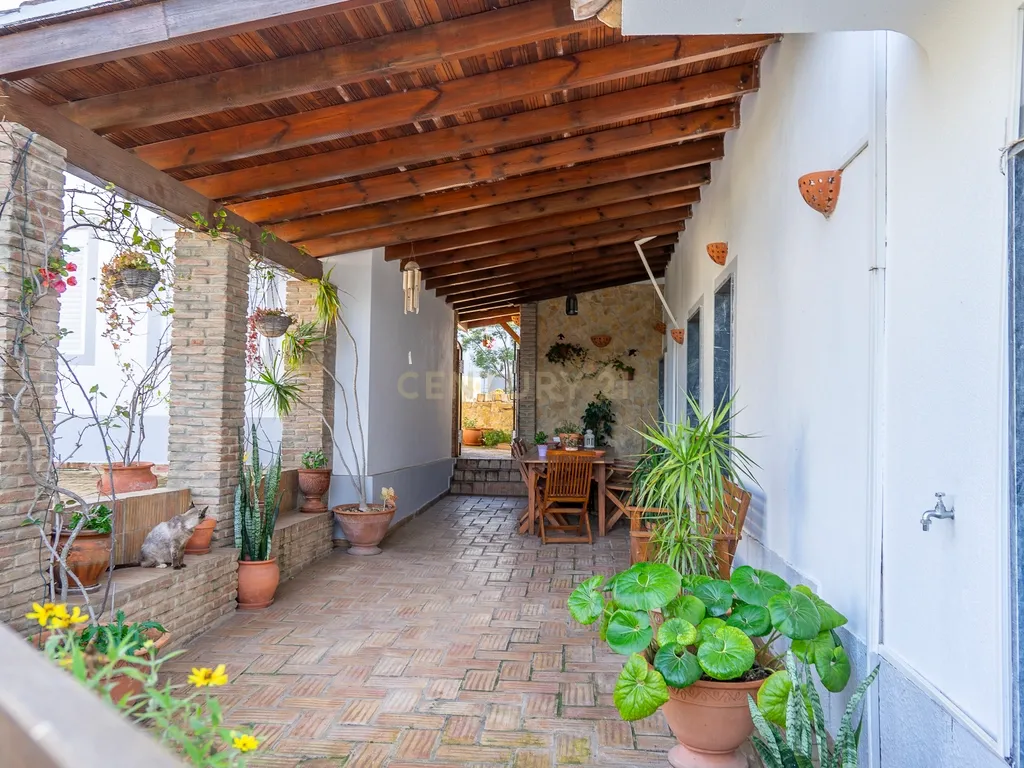 Quinta dos Netos em Santa Catarina da Fonte do Bispo - Image 10