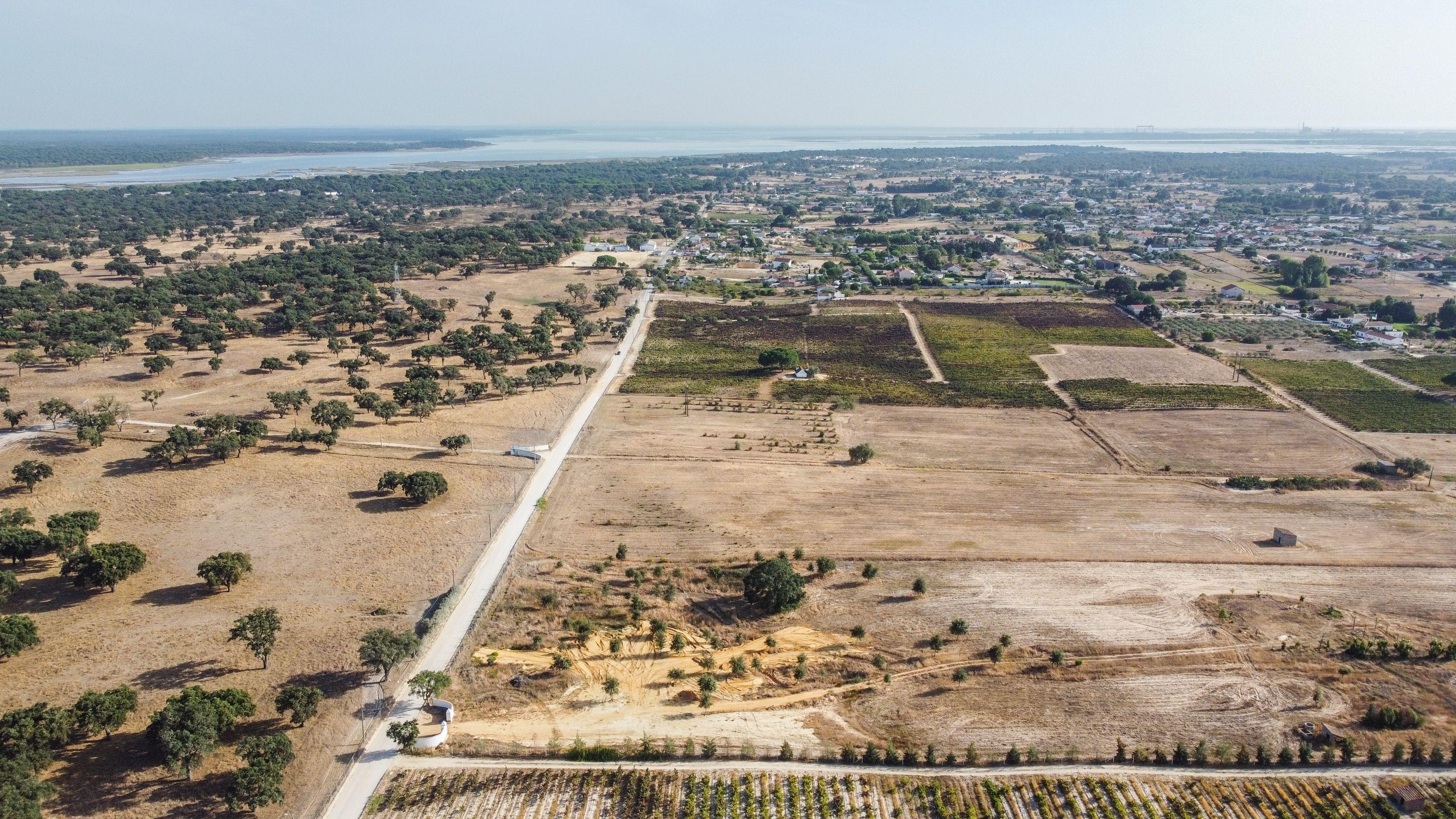 Fotografia 6 de Terreno Rústico com PIP Favorável para Construção de Moradia – Cajados, Palmela