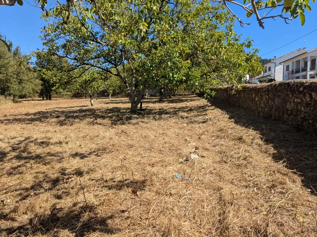Terreno Viabilidade Construção em Espinhal, Penela – Excelente Oportunidade de Investimento - Image 17