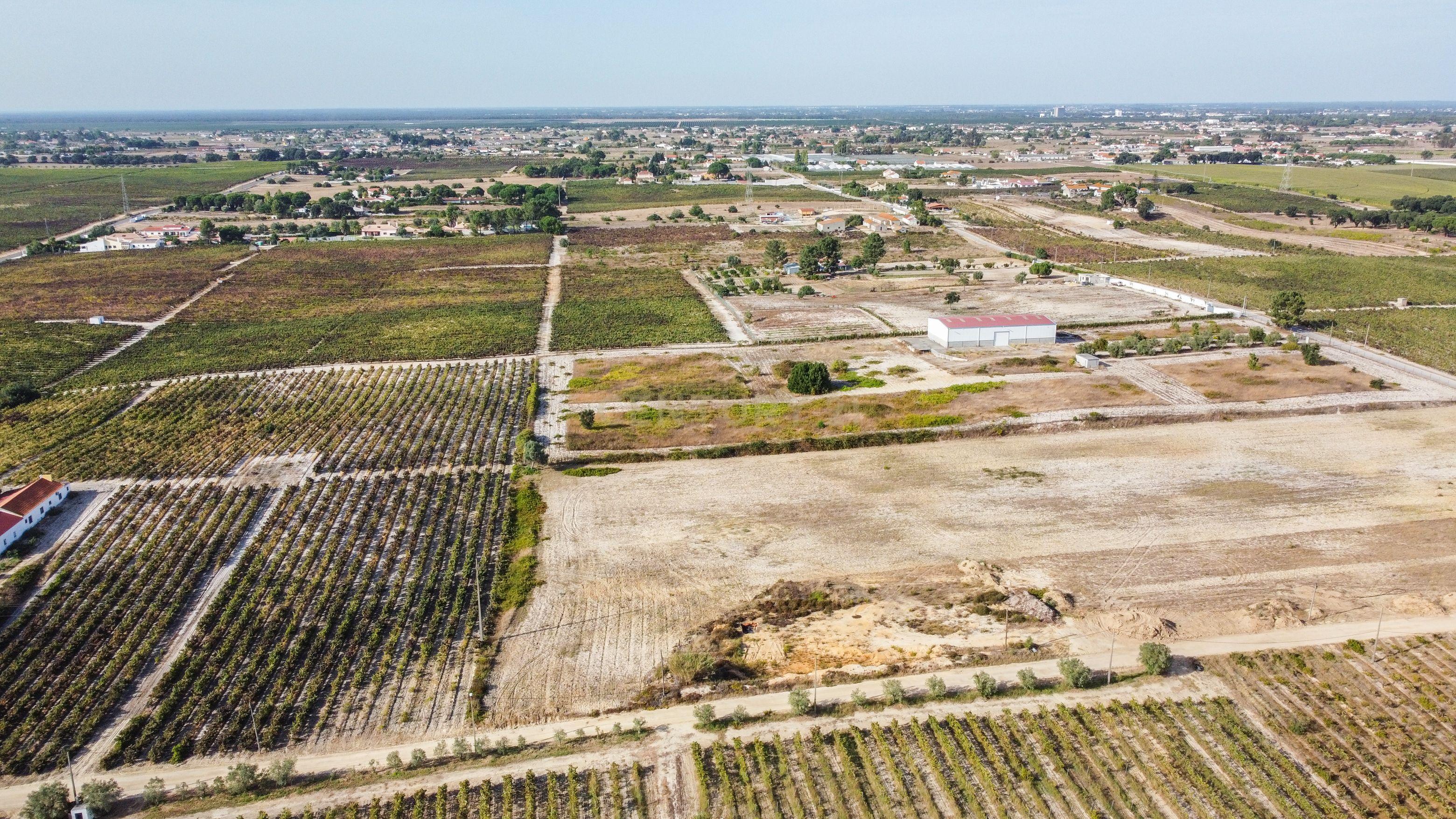 Fotografia 11 de Terreno Rústico com PIP Favorável para Construção de Moradia – Cajados, Palmela