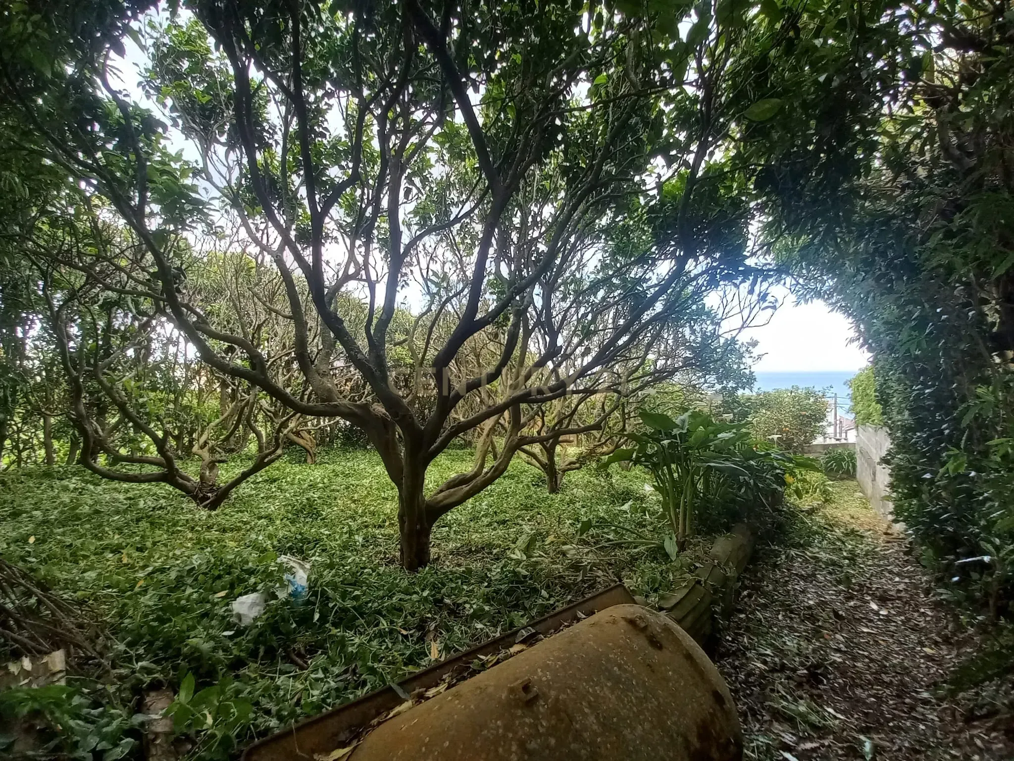 Moradia T4 à venda em Ponta Garça, Vila Franca do Campo — foto 27