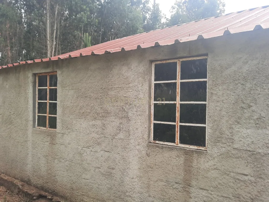 Casa moderna T3 e terreno rústico perto de Oliveira de Frades e Vouzela, preço total 125.000.00 euros! - Image 19