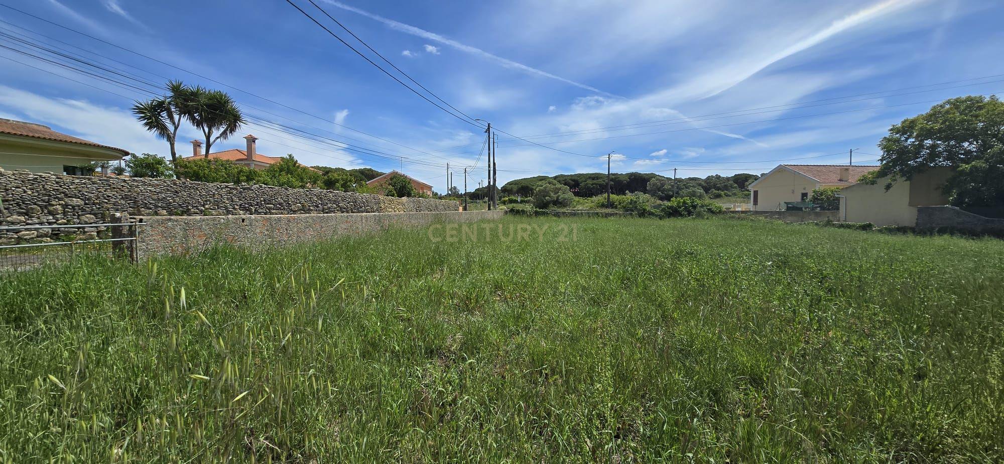 Fotografia 11 de Terreno com Projeto Aprovado para moradia isolada em Sintra - S. João das Lampas - Lisboa