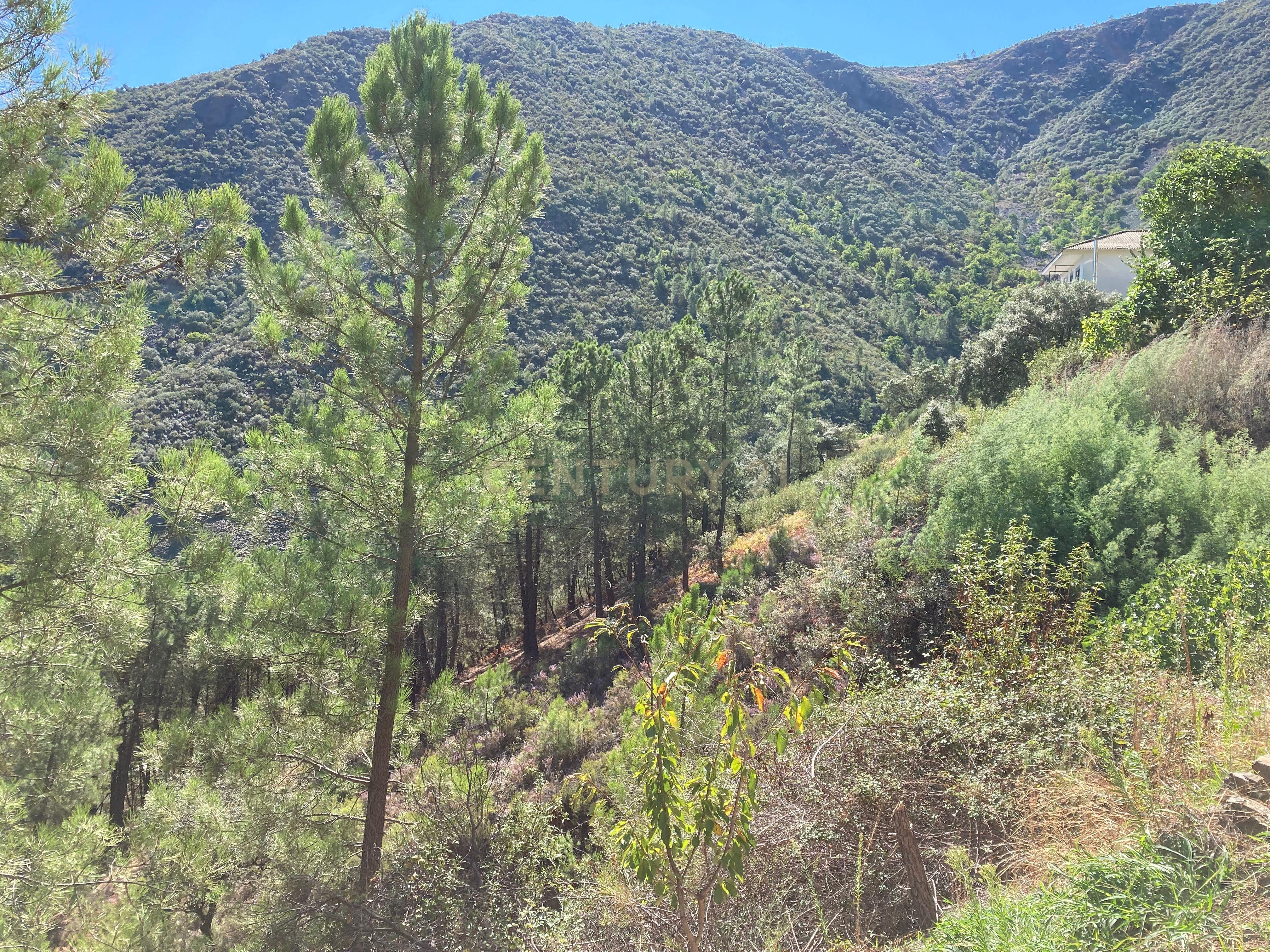 undefined - Image 6