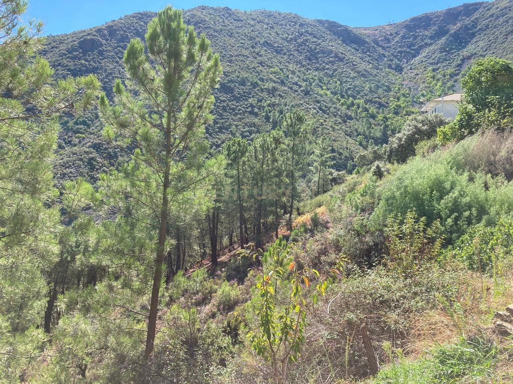 undefined - Image 6