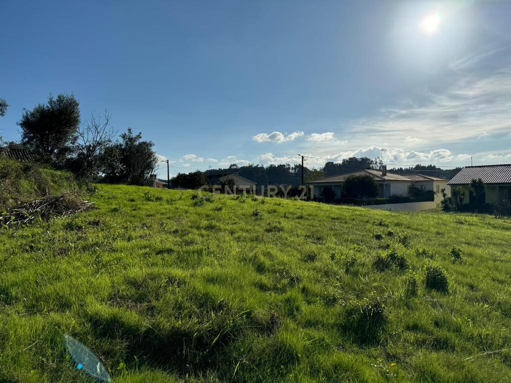 Moradia em ruina sita em Assanha da Paz - Image 15