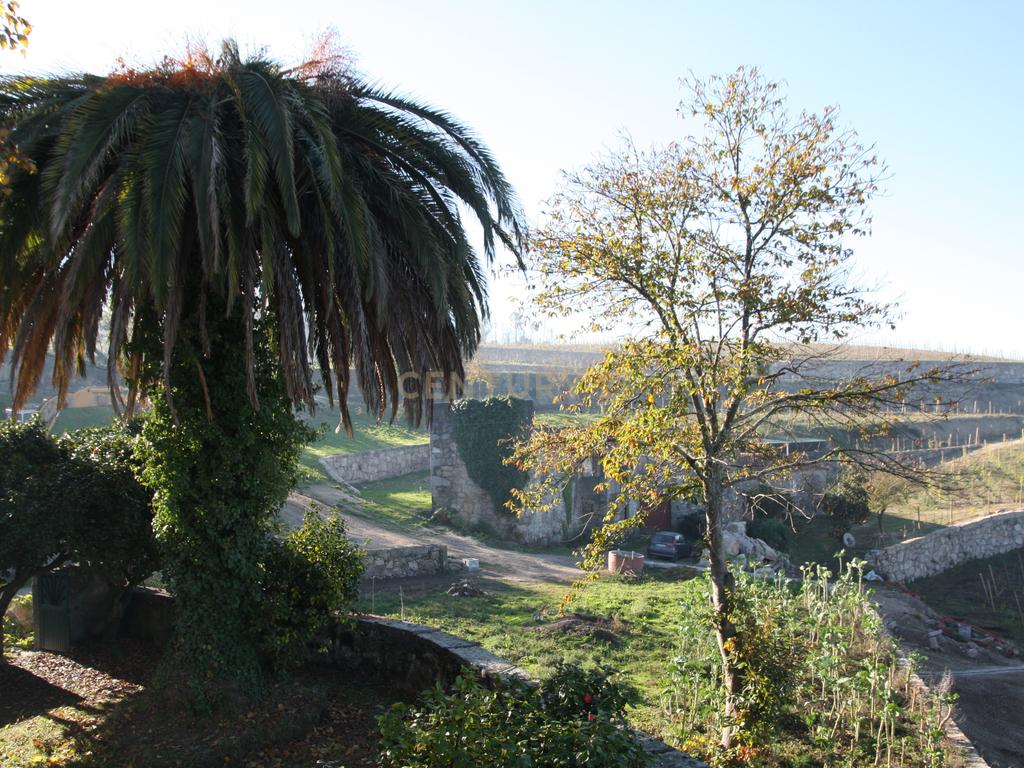 Quinta da Cerqueda, Santo Tirso - Image 15