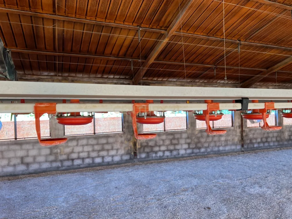 Terreno de 7.500 m² situado próximo ao lago, contendo uma casa a ser restaurada e um aviário automatizado altamente rentável. - Image 14