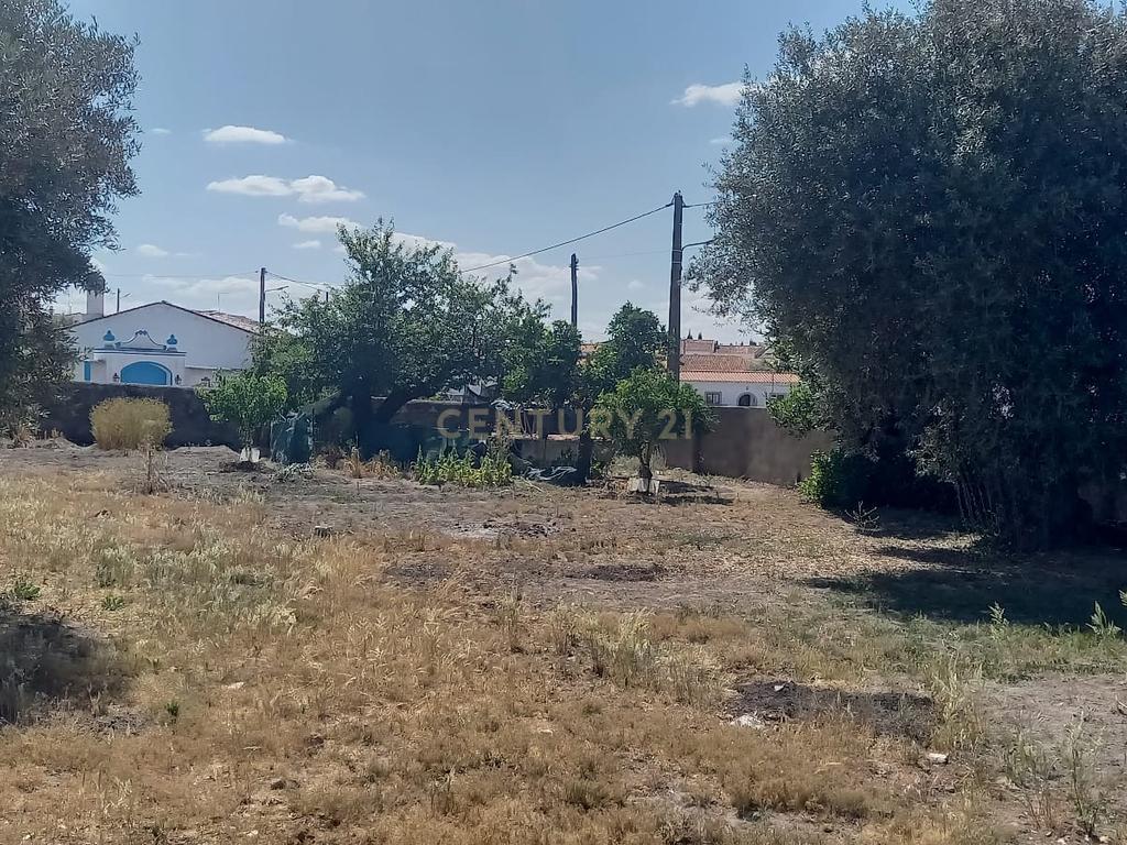 PEDROGÃO ALENTEJO - EXCELENTE TERRENO PARA CONSTRUÇÃO - Image 19