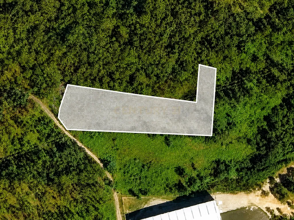 Terreno para construção de empresa/pavilhão afeto a Atividades Económicas/Industriais, Oliveira de Azeméis - 3870m² - Image 1