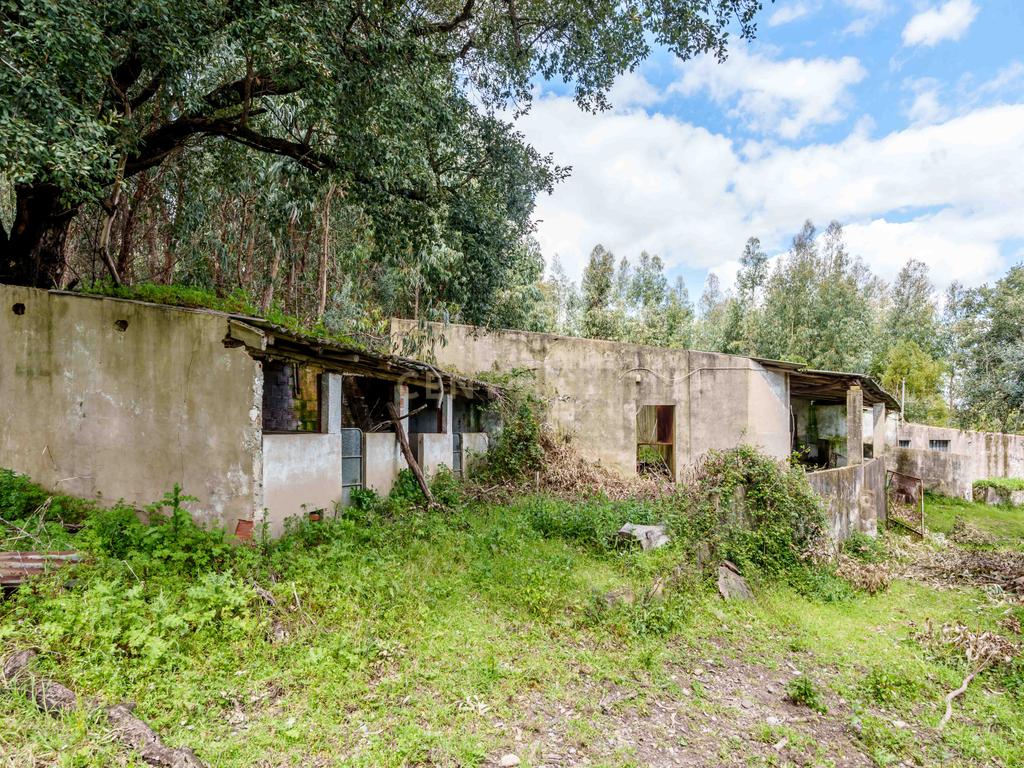 QUINTA COM 2,5 HECTARES EM ZONA CENTRAL DE MONCHIQUE - Image 46