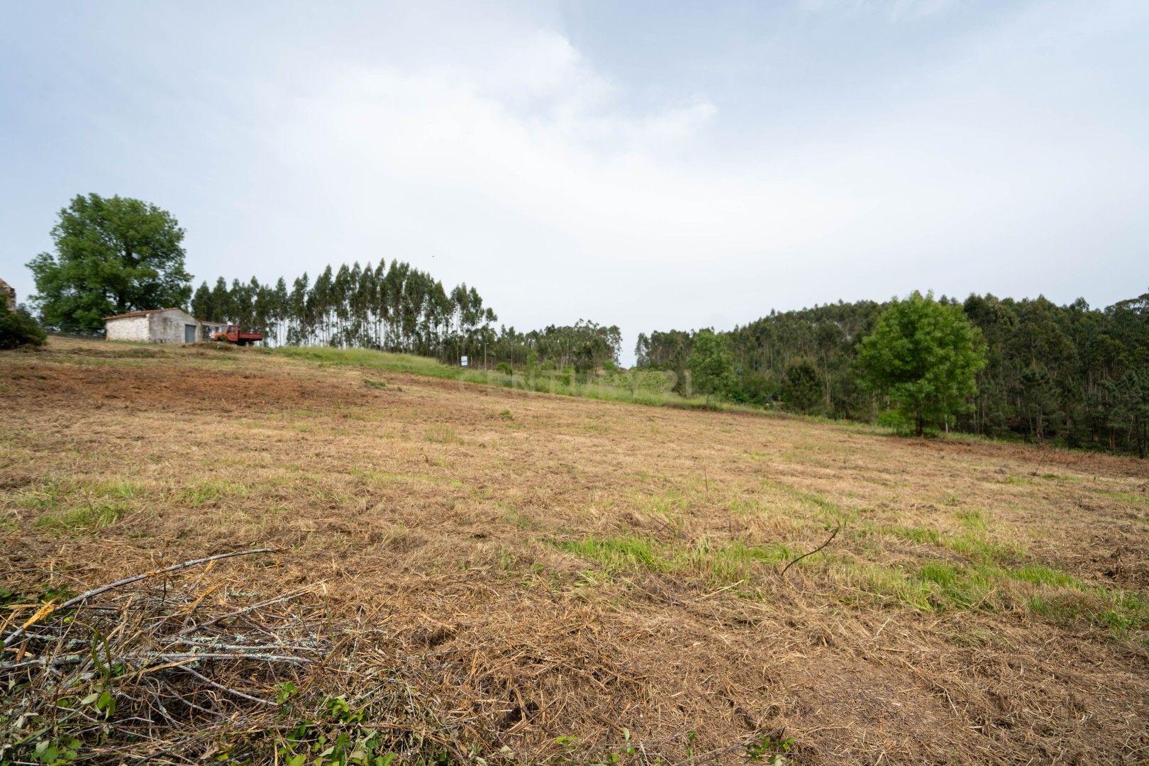 Fotografia 4 de Terreno com furo de água e duas pequenas edificações em ruina para reabilitar