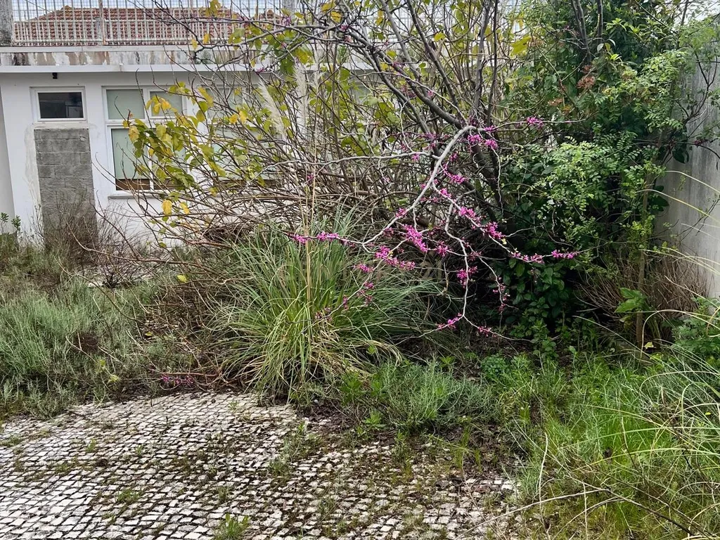 Projeto de Alojamento Estudantil Sustentável - Image 26