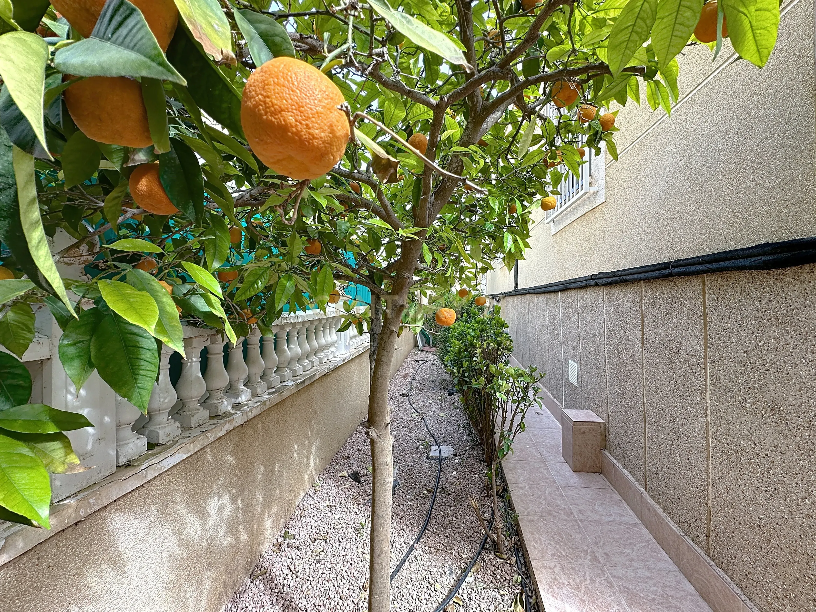 Encantadora moradia com piscina em La Florida – Orihuela Costa - Image 19