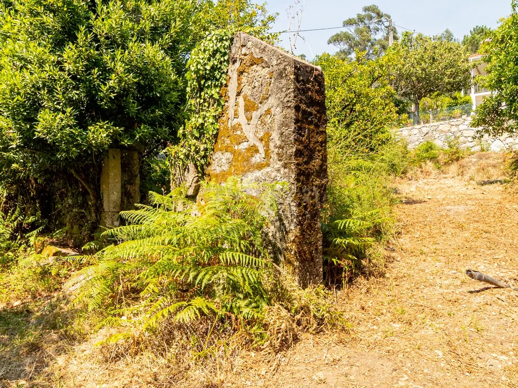 Quinta para reconstrução , em Anais, em Ponte de Lima – a vila mais antiga de Portugal. - Image 33