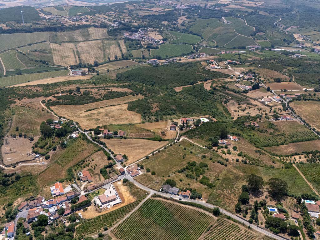 Oportunidade Única de Investimento em Terreno com Potencial Agrícola e Urbanizável – Canhestro 14.960 m². - Image 8