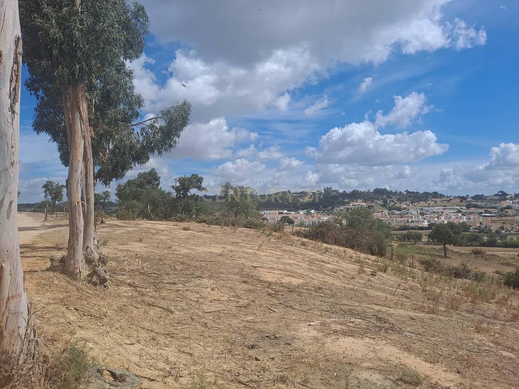 Azambuja | Terrenos vendidos em conjunto com 124.520m2 | Vistas sobre a cidade e a lezíria - Image 9