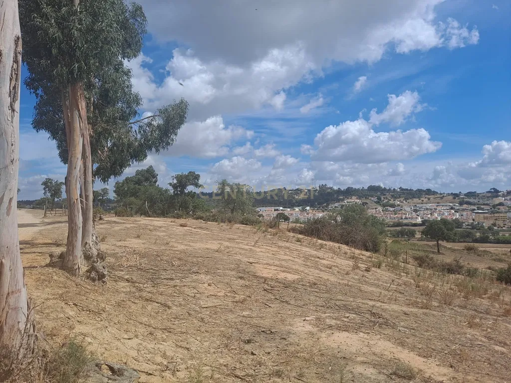 Azambuja | Terrenos vendidos em conjunto com 124.520m2 | Vistas sobre a cidade e a lezíria - Image 9