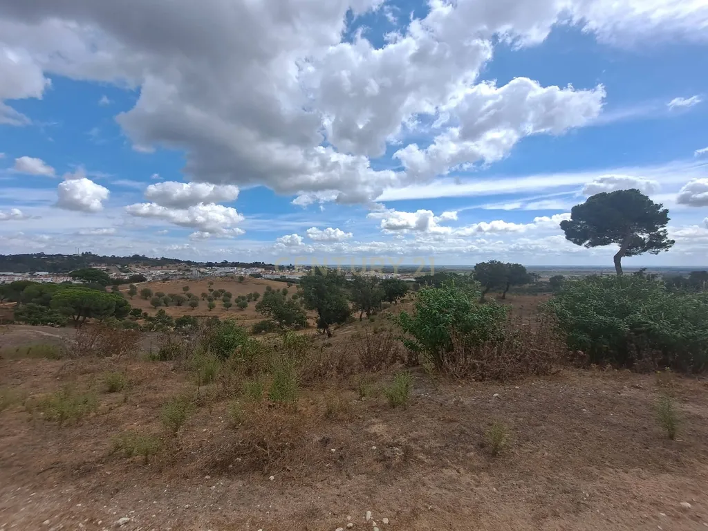 Azambuja | Terrenos vendidos em conjunto com 124.520m2 | Vistas sobre a cidade e a lezíria - Image 10