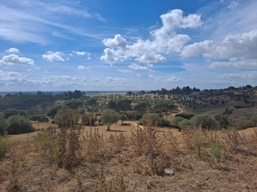 Azambuja | Terrenos vendidos em conjunto com 124.520m2 | Vistas sobre a cidade e a lezíria - Image 8