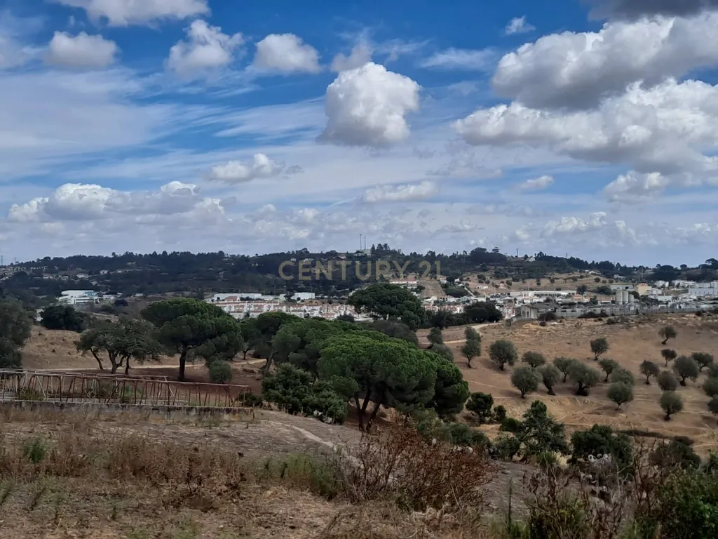 Azambuja | Terrenos vendidos em conjunto com 124.520m2 | Vistas sobre a cidade e a lezíria - Image 6