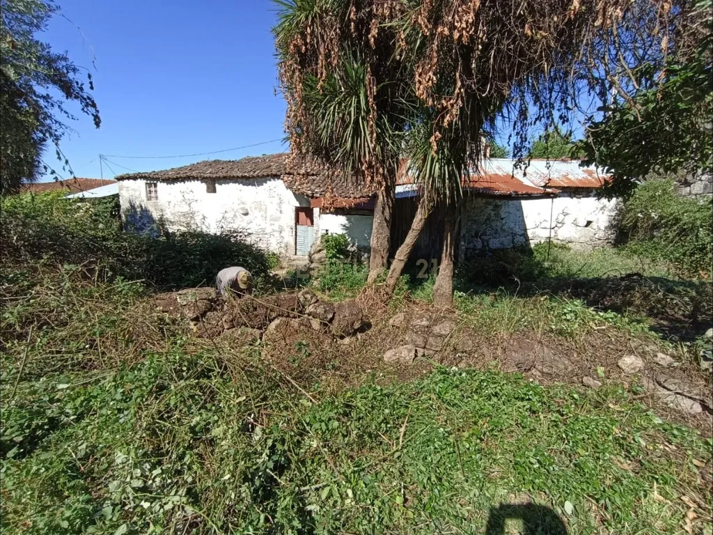 Quintinha Única com 6000m² de Terreno Construtivo – Serzedelo, Póvoa de Lanhoso - Image 3