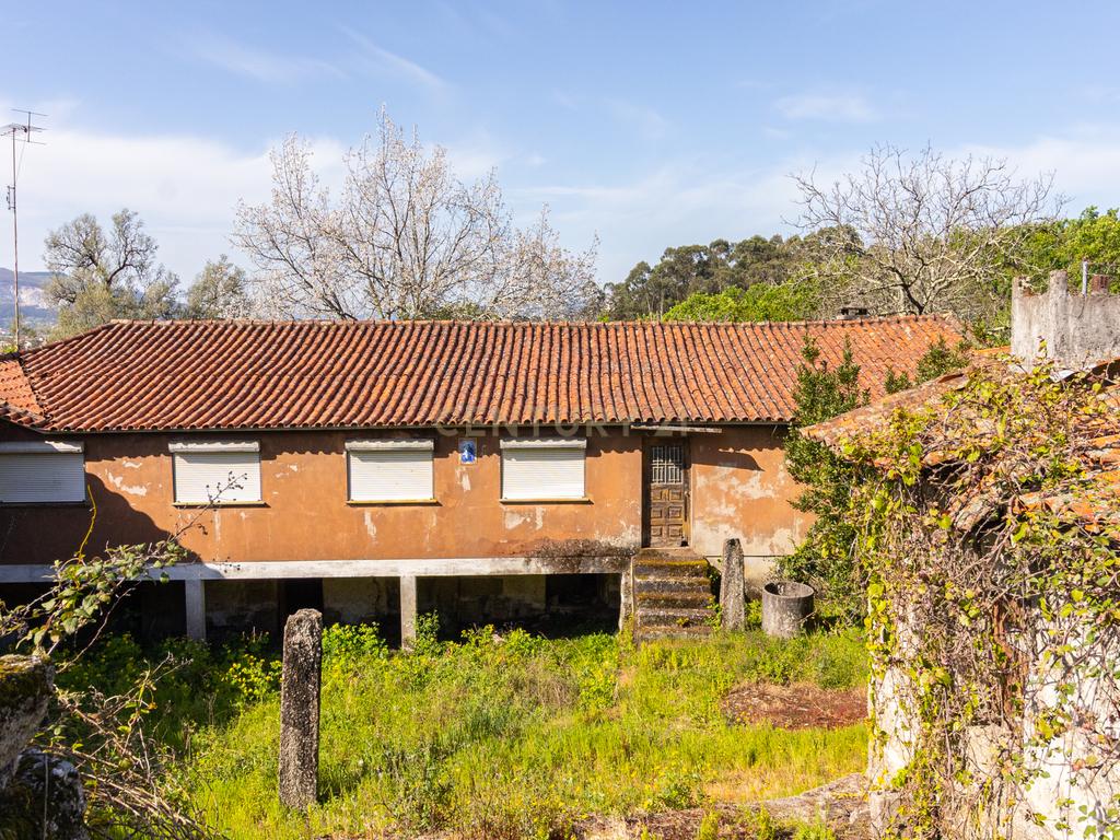 🌿 Quinta Rústica com 15.075 m² | Para Recuperar | Póvoa de Lanhoso, Braga - Image 16