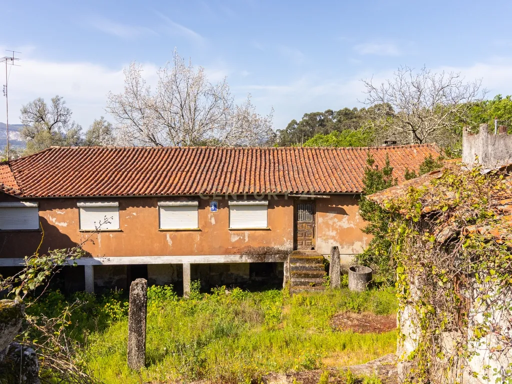 🌿 Quinta Rústica com 15.075 m² | Para Recuperar | Póvoa de Lanhoso, Braga - Image 16