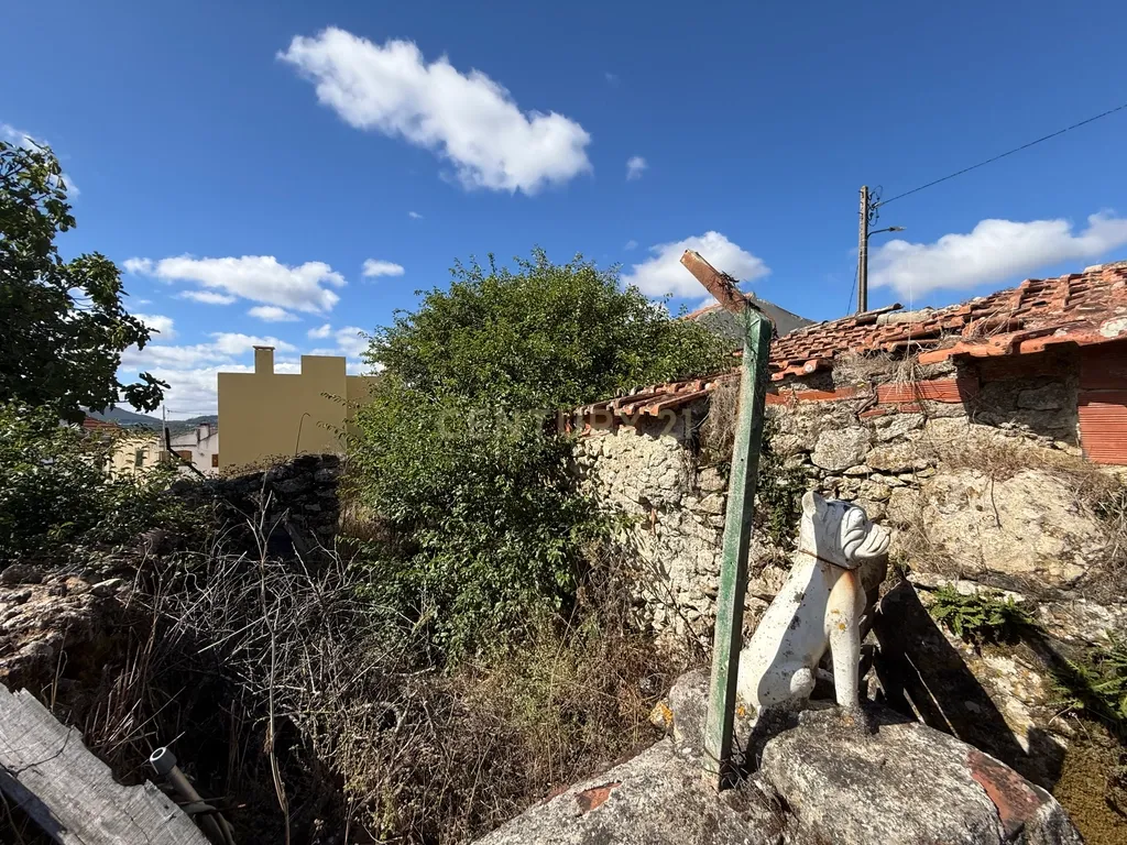 Ruina para Restaurar em Milharado, Mafra - Oportunidade Única - Image 7
