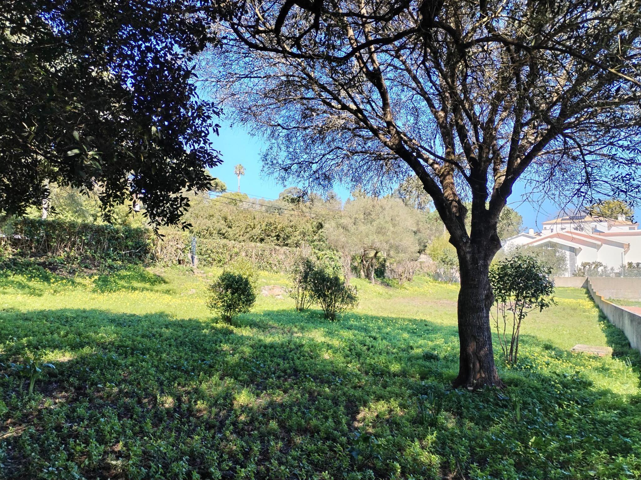 Fotografia 7 de Terreno Urbano com Alvará de Loteamento | Lugar do Carrascal, Sintra