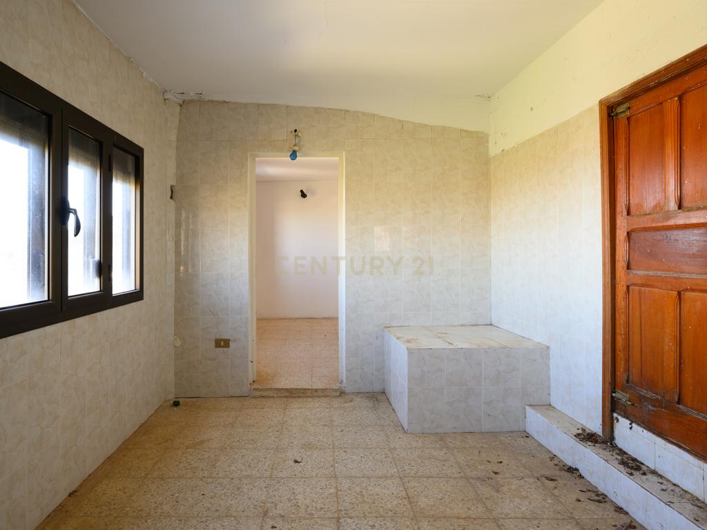  - Image 8