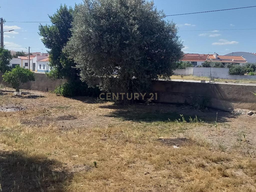 PEDROGÃO ALENTEJO - EXCELENTE TERRENO PARA CONSTRUÇÃO - Image 2