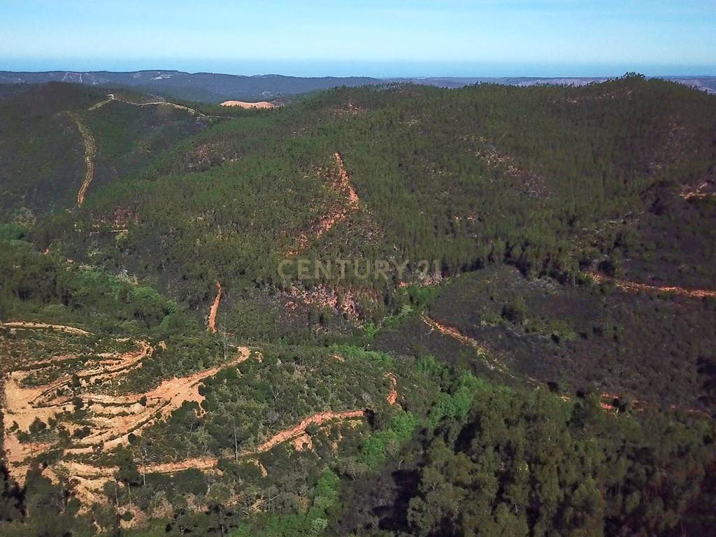 Propriedade Exclusiva com Quase 13 Hectares em Monchique, Palheiros - Image 40