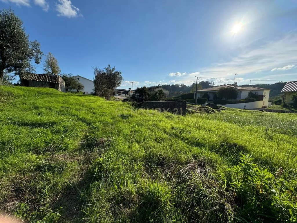 Moradia em ruina sita em Assanha da Paz - Image 13