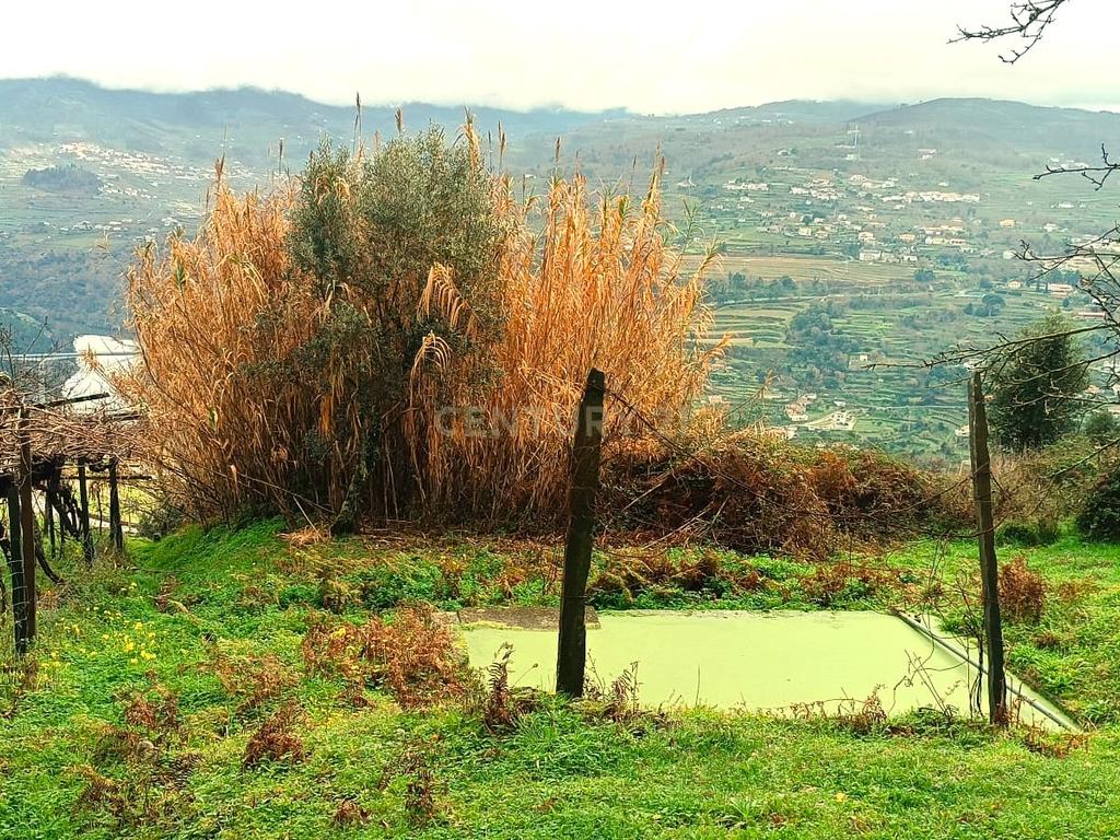 Belíssima ruína em terreno verdejante com vista deslumbrante para o Rio Douro, Baião, Porto - Image 22