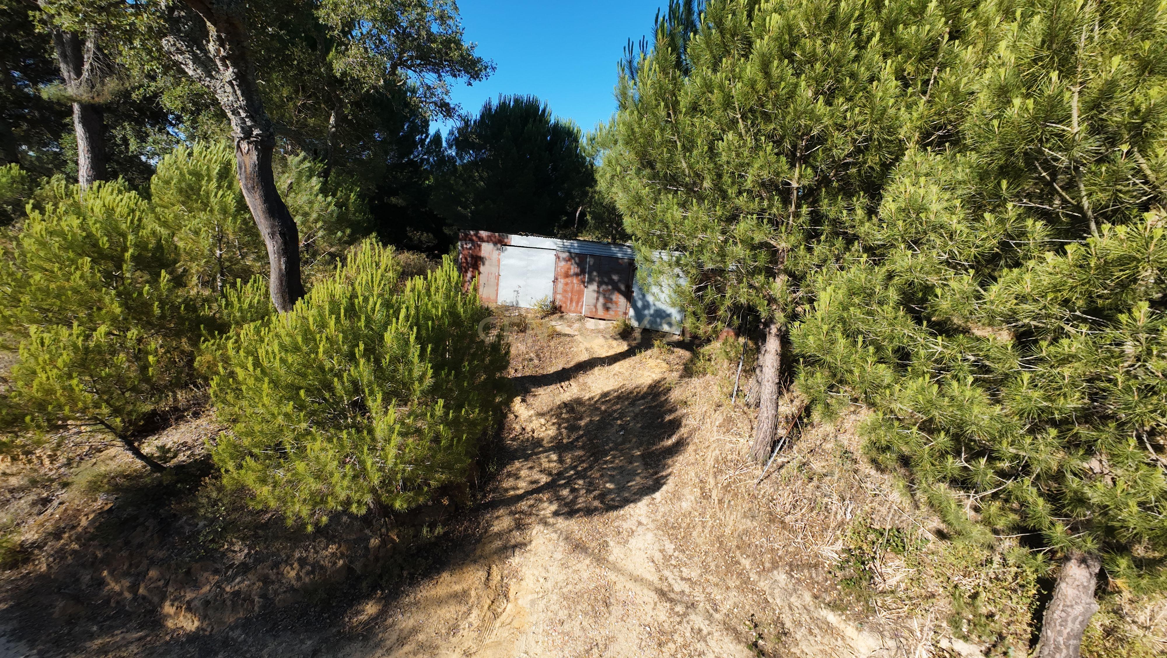 Fotografia 8 de Terreno Rústico em Foros da Boa Vista, Canha-Montijo– Natureza e Tranquilidade