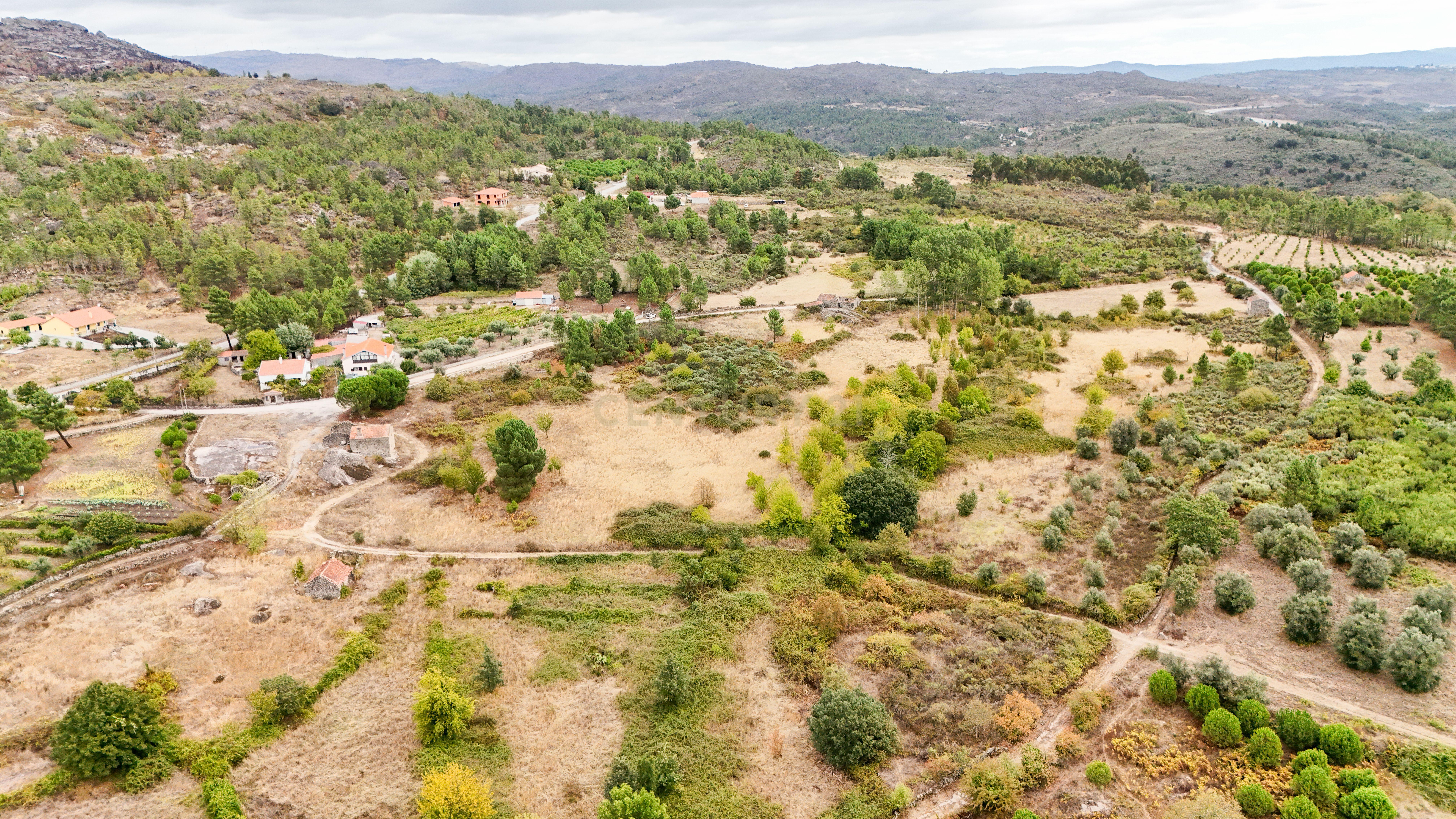 Fotografia 12 de Quinta com 37.000 m² e casa de pedra em Figueiró da Granja - Fornos de Algodres