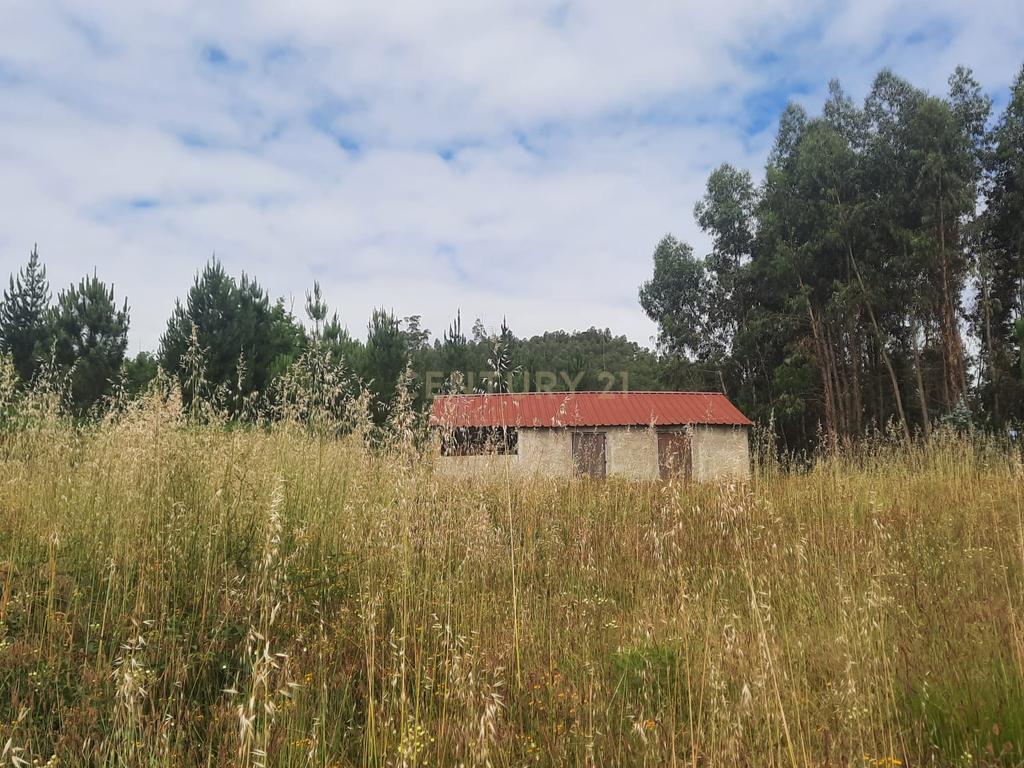 Casa moderna T3  e terreno rústico perto de Oliveira de Frades e Vouzela, preço total 125.000.00 euros! - Image 16