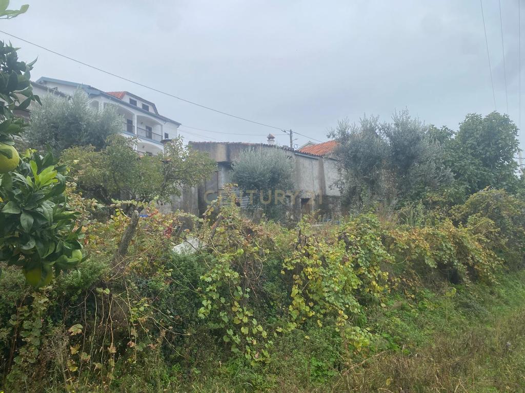 Terreno em Cortes do Meio - Covilhã - Image 5