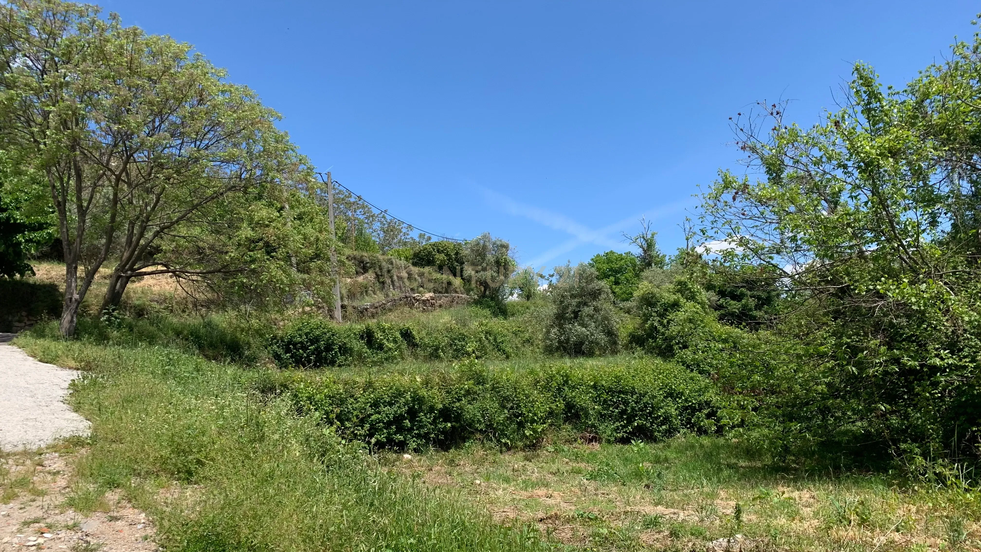 Terreno Urbano com 10546,49 m2 Junto ao Bar Periferia em Santo António - Image 6
