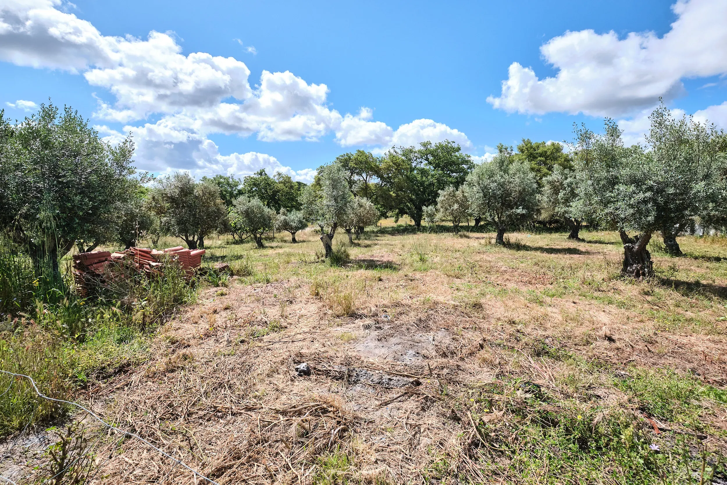 Viva o autêntico Alentejo – Seu refúgio em Ermidas do Sado - Cova do Gato espera por si - Image 8