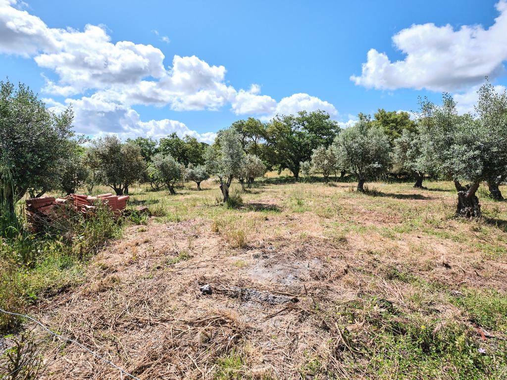 Viva o autêntico Alentejo – Seu refúgio em Ermidas do Sado - Cova do Gato espera por si - Image 8