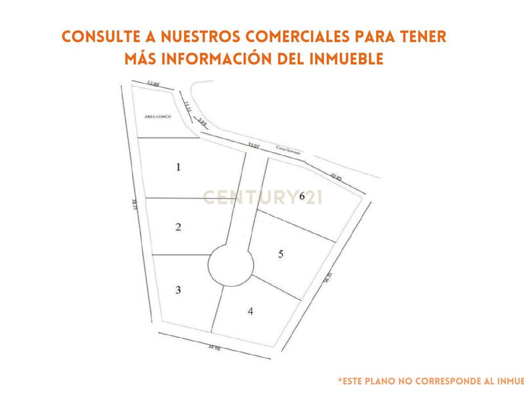 Terreno - Image 10