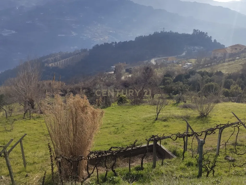 Terreno com casinha e vista para o rio Douro, em S. Tomé de Covelas, Baião para projeto agrícola - Image 77