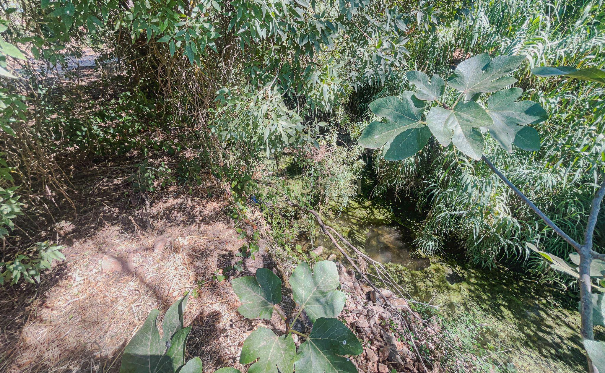 Fotografia 7 de Refúgio na natureza junto a ribeira