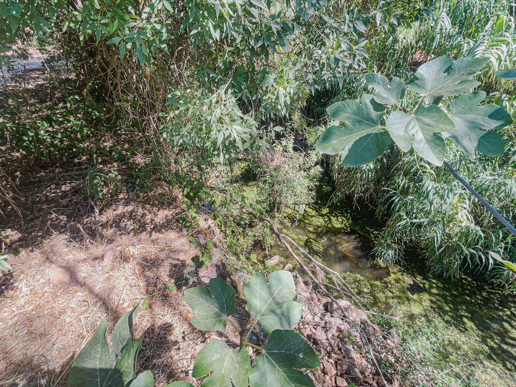 Refúgio na natureza junto a ribeira - Image 7