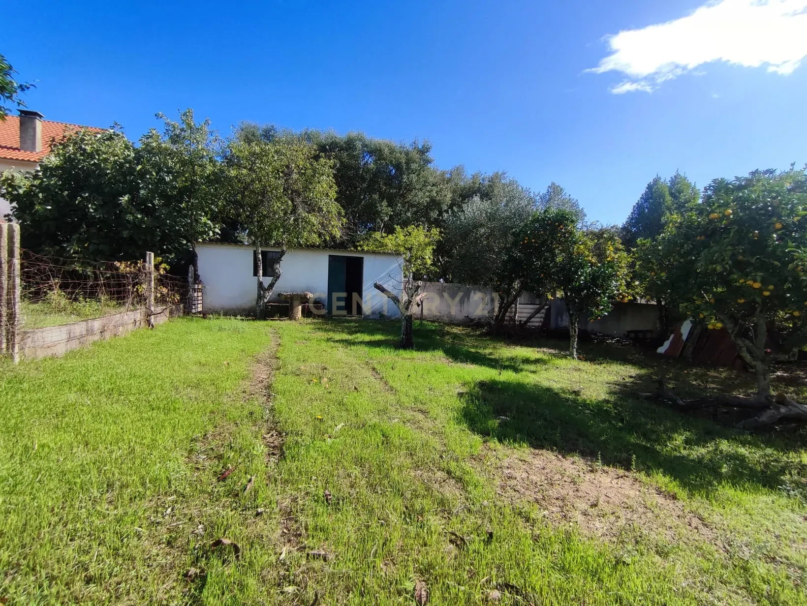 Terreno Urbano, Tinalhas, Castelo Branco - Image 4