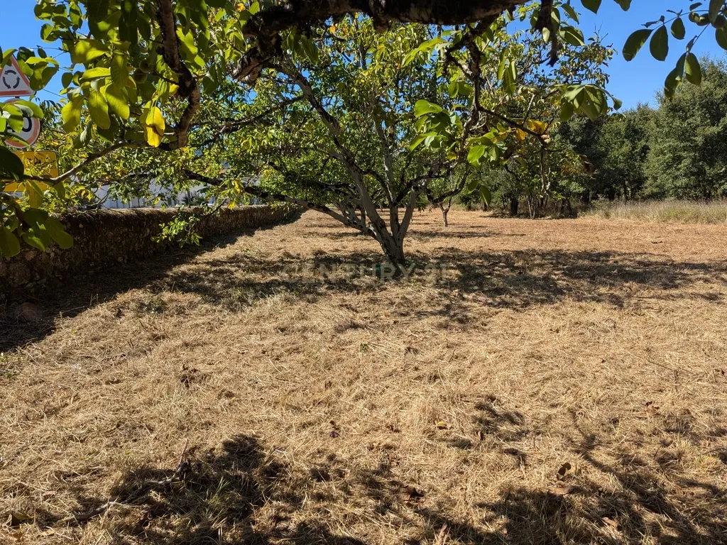 Terreno Viabilidade Construção em Espinhal, Penela – Excelente Oportunidade de Investimento - Image 18