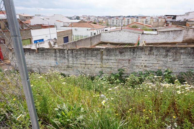 Terreno - Image 4