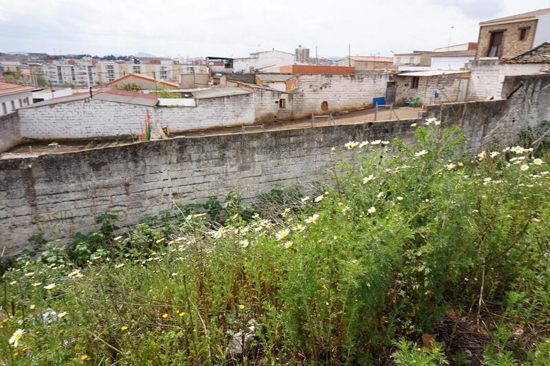 Terreno - Image 3